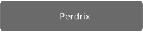 Perdrix